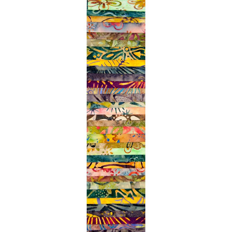 Rainbows 2.5" strips