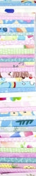 Rainbows 2.5" strips