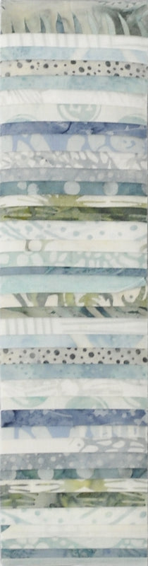 Rainbows 2.5" strips