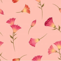 Canto from Clothworks