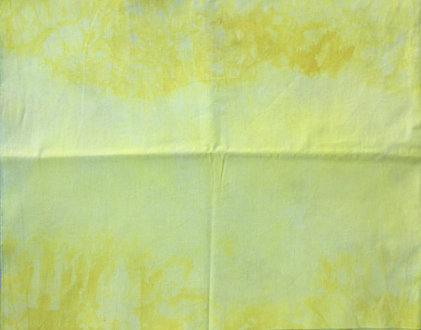 Hand dyed Linen 006