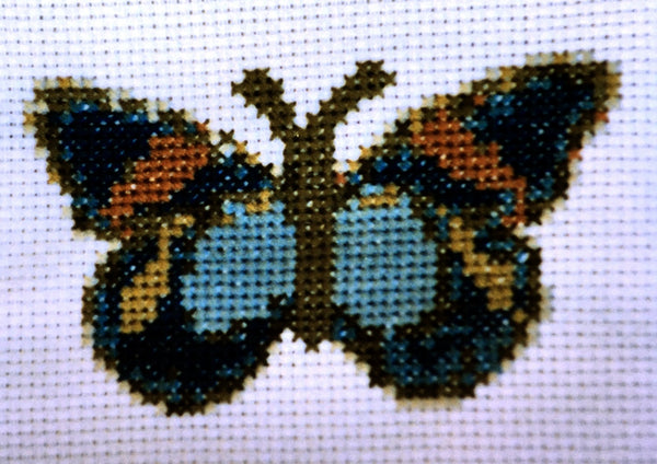 Uniquely Yours September Butterfly Cross Stitch Chart