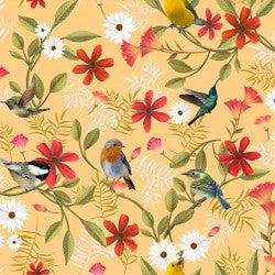 Canto from Clothworks