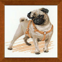 Riolis Cross Stitch - Pug Dog