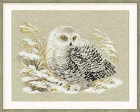 Riolis Cross Stitch - White Owl