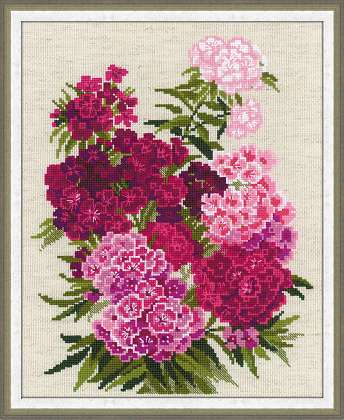 Riolos Cross Stitch - Sweet William