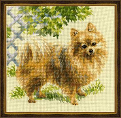 Riolos Cross Stitch - Pomeranian