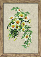 Riolis Cross Stitch - Bouquet of Chamomiles