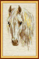 Riolis Cross Stitch - Moon