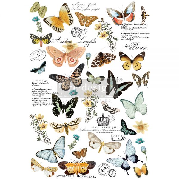 Butterfly Dance Decor Transfer