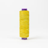 Sue Spargo Eleganza™ Variegated - Egyptian Cotton Thread 5 Weight