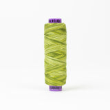 Sue Spargo Eleganza™ Variegated - Egyptian Cotton Thread 5 Weight