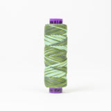 Sue Spargo Eleganza™ Variegated - Egyptian Cotton Thread 5 Weight