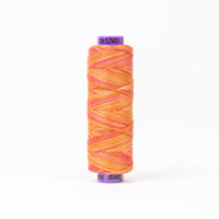 Sue Spargo Eleganza™ Variegated - Egyptian Cotton Thread 5 Weight