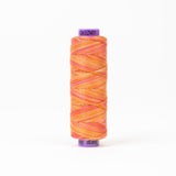 Sue Spargo Eleganza™ Variegated - Egyptian Cotton Thread 5 Weight