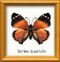 Riolis Cross Stitch - Nymphalidae Butterfly