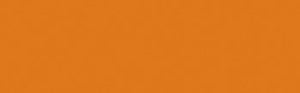Acid Dye - 604 Burnt Orange