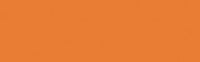 Dye Na Flow Paint - 803 Bright Orange