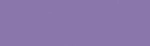 Dye Na Flow Paint - 811 Violet