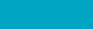 Dye Na Flow Paint - 813 Turquoise
