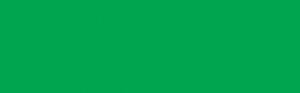 Dye Na Flow Paint - 819 Bright Green