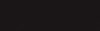 Dye Na Flow Paint - 829 Black