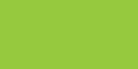 Neopaque Paint - 450 Volt