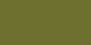 Neopaque Paint - 453 Military Green
