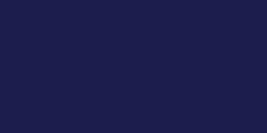 Neopaque Paint - 455 Navy