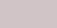 Neopaque Paint - 457 Concrete Grey