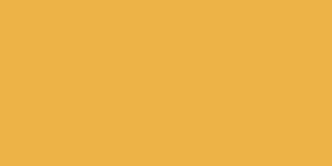 Neopaque Paint - 581 Golden Yellow