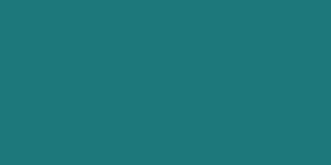Neopaque Paint - 585 Turquoise