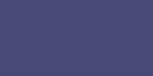 Neopaque Paint - 586 Violet