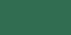 Neopaque Paint - 587 Green