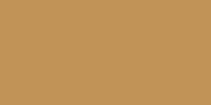 Neopaque Paint - 590 Ochre