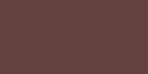 Neopaque Paint - 592 Brown