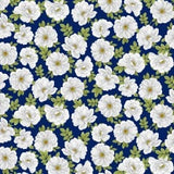 Blue and White Elegance from Benatex