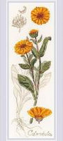 Riolis Cross Stitch - Calendula