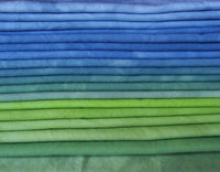Echinacea Quilt Kit